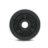 Alpha Weight Plates - 1.25kg Weight Plates | Buffalo Sports