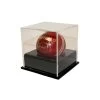 Buffalo Sports Display Case - Cricket / Baseball