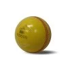 Buffalo Sports Indoor Cricket Ball