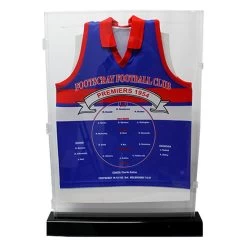 Buffalo Sports Jersey Display Case Pick Up Only