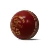 Buffalo Sports Paragon Cricket Ball 156gm