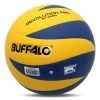 Buffalo Sports Revolution Pro Volleyball