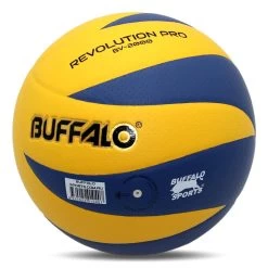 Buffalo Sports Revolution Pro Volleyball
