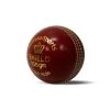 Buffalo Sports Shield Cricket Ball
