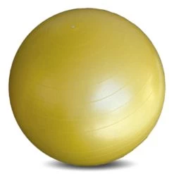 Buffalo Sports Standard Swiss Ball