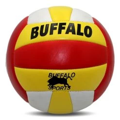 Volleyballs Assorted Special Clearance