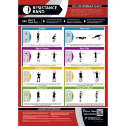 Fitness Wall Charts - Laminated Paper