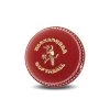 Kookaburra Junior Softaball Cricket Ball
