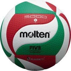 Molten V5M5000 Volleyball