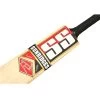 SS TON Prince English Willow Cricket Bat